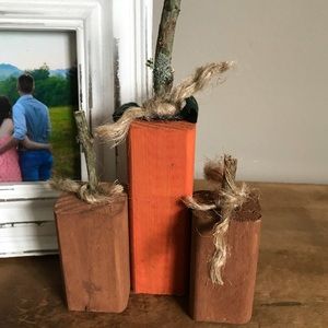 Mini Pumpkin Patches